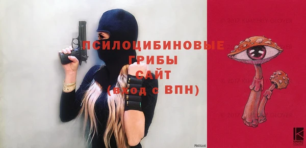 соль ск Балахна
