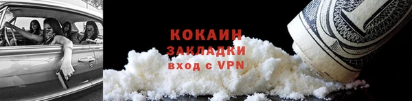 прущие грибы Балабаново