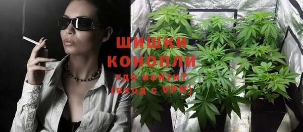 прущие грибы Балабаново