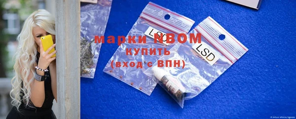 прущие грибы Балабаново