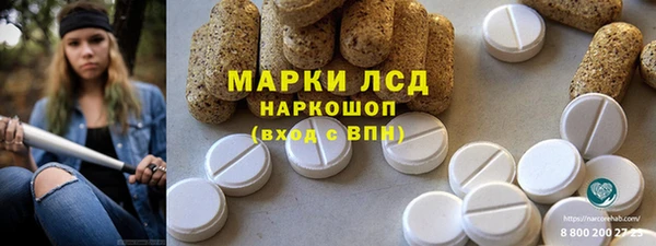 прущие грибы Балабаново
