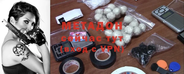 прущие грибы Балабаново